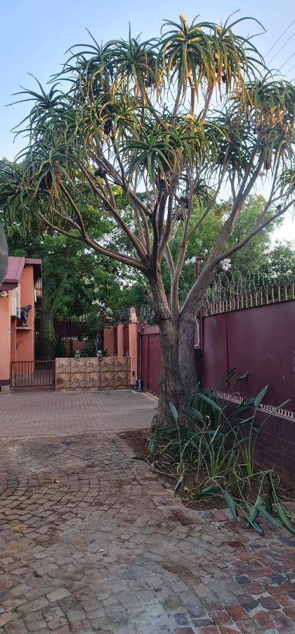 My House Guest House Pretoria Exterior photo